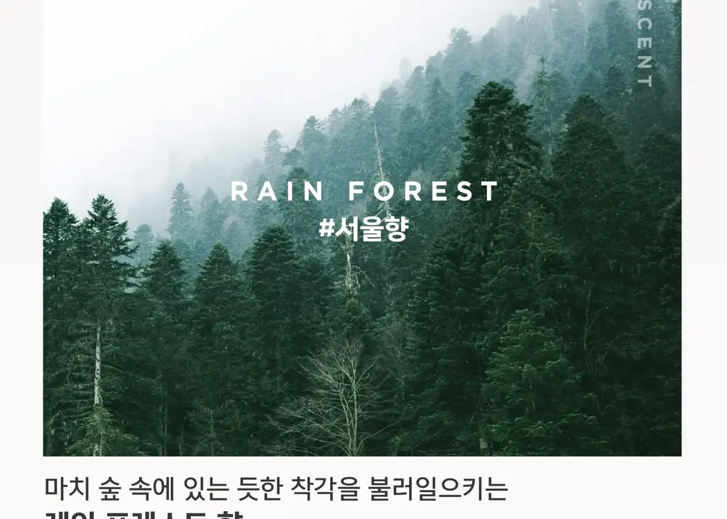 [NEW] 글래드 포레스트 디퓨저 리필 기획 150+150ml (제주/서울향) 상세페이지 4